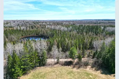 5535 Wahlsten Road, Embarrass, MN 55790 - Photo 7