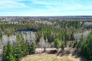 5535 Wahlsten Rd, Embarrass, MN 55790 - Photo 7
