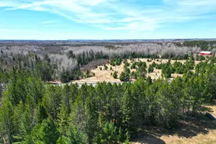 5535 Wahlsten Rd, Embarrass, MN 55790 - Photo 27