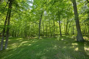 4565 Spinner Trail NE, Remer, MN 56672 - Photo 43