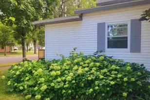 203 N Monroe St, Minneota, MN 56264 - Photo 25