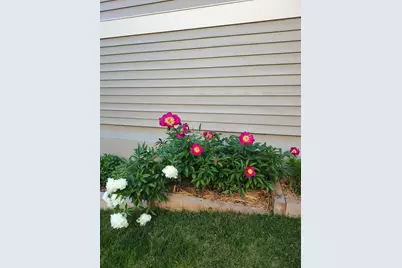 14925 45th Avenue N, Plymouth, MN 55446 - Photo 17