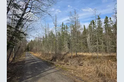 2217 Michaels Beach Road, Zim, MN 55738 - Photo 33