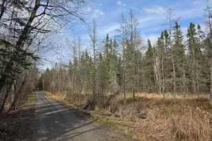 2217 Michaels Beach Rd, Zim, MN 55738 - Photo 33