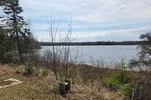 2217 Michaels Beach Rd, Zim, MN 55738 - Photo 37