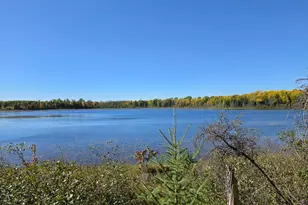 2217 Michaels Beach Rd, Zim, MN 55738 - Photo 3