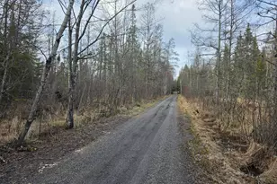 2217 Michaels Beach Rd, Zim, MN 55738 - Photo 35