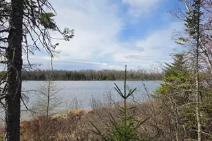 2217 Michaels Beach Rd, Zim, MN 55738 - Photo 39