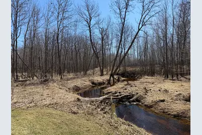 1784 County Road 1 SW, Baudette, MN 56623 - Photo 9