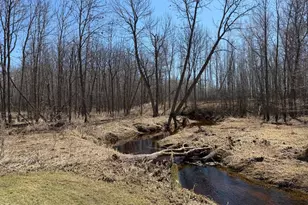 1784 County Road 1 SW, Baudette, MN 56623 - Photo 9