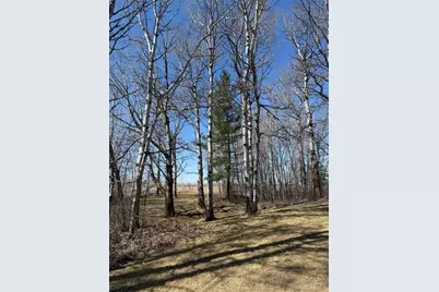 1784 County Road 1 SW, Baudette, MN 56623 - Photo 47