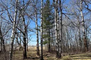 1784 County Road 1 SW, Baudette, MN 56623 - Photo 47
