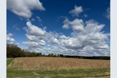 20.5 Acres Land Section 24, Springfield, MN 56087 - Photo 5