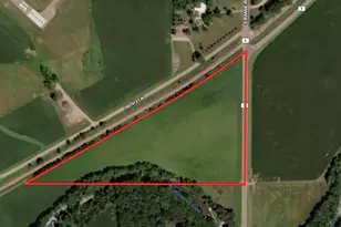 20 5 Acres Land Section 24, Springfield, MN 56087 - Photo 1