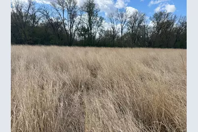 20.5 Acres Land Section 24, Springfield, MN 56087 - Photo 17