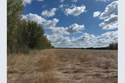 20.5 Acres Land Section 24, Springfield, MN 56087 - Photo 11