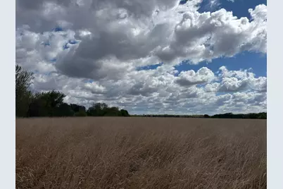 20.5 Acres Land Section 24, Springfield, MN 56087 - Photo 19
