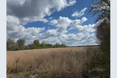 20.5 Acres Land Section 24, Springfield, MN 56087 - Photo 13