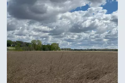 20.5 Acres Land Section 24, Springfield, MN 56087 - Photo 15