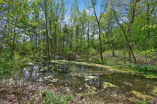 6341 Alwin Cir, Mound, MN 55364 - Photo 51