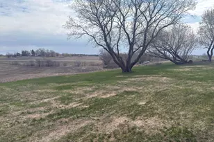 23889 Co Hwy 1, Fergus Falls, MN 56537 - Photo 29