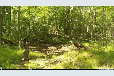 45527/45609 Fox Road, Hinckley, MN 55037 - Photo 3
