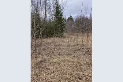 Tbd Lampi Road, Cohasset, MN 55721 - Photo 3