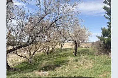 23889 Co Hwy 1, Fergus Falls, MN 56537 - Photo 23