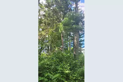 6920 County Road 8 NE, Longville, MN 56655 - Photo 9