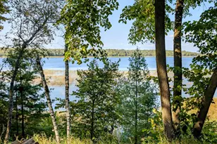 15762 River Lake Dr, Menahga, MN 56464 - Photo 1