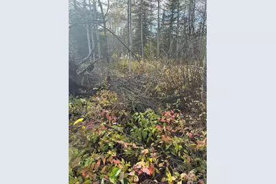 7064 Cramer Road, Finland, MN 55603 - Photo 9