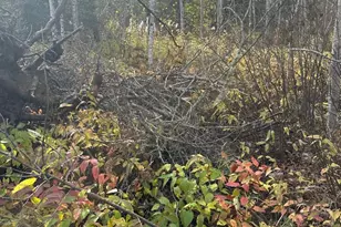 7064 Cramer Rd, Finland, MN 55603 - Photo 9