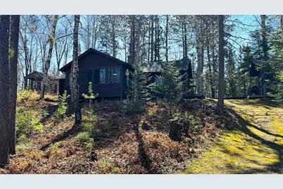 8243 W Rose Lake Drive, Canyon, MN 55717 - Photo 31