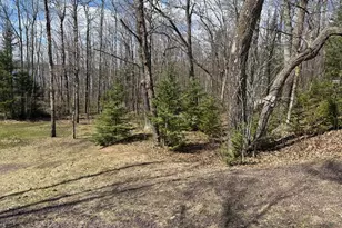 54167 Oak Tree Dr, Kerrick, MN 55756 - Photo 29