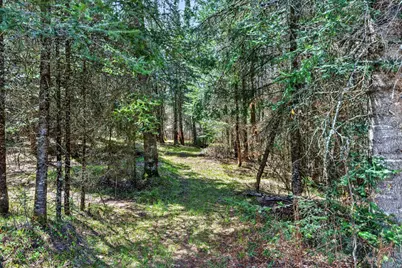 8225 N Blaisdell Lake, Winter, WI 54896 - Photo 13