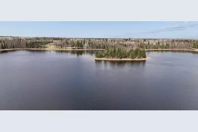 31149 County Road 40, Effie, MN 56639 - Photo 45