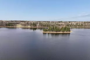 31149 Co Rd 40, Effie, MN 56639 - Photo 45