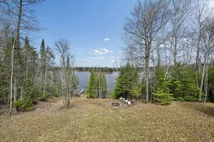 31149 Co Rd 40, Effie, MN 56639 - Photo 43