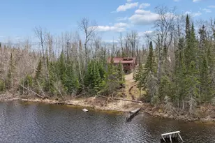 31149 Co Rd 40, Effie, MN 56639 - Photo 41
