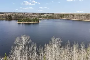 31149 Co Rd 40, Effie, MN 56639 - Photo 43