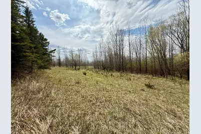 16025 245th Avenue, Glenwood, MN 56334 - Photo 7