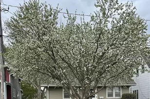 512 9th Ave SW, Austin, MN 55912 - Photo 23