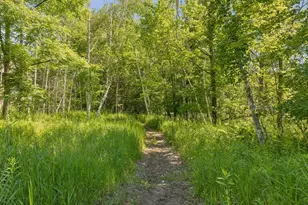 19290 Meadowridge Trail N, Marine on Saint Croix, MN 55047 - Photo 115