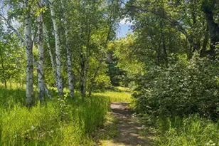 19290 Meadowridge Trail N, Marine on Saint Croix, MN 55047 - Photo 127