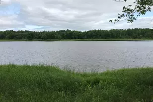 10507 Hwy 11, Baudette, MN 56623 - Photo 17