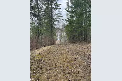 10507 Highway 11, Baudette, MN 56623 - Photo 39