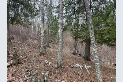 31938 E Gunn Lake Trail, Marcell, MN 56657 - Photo 9