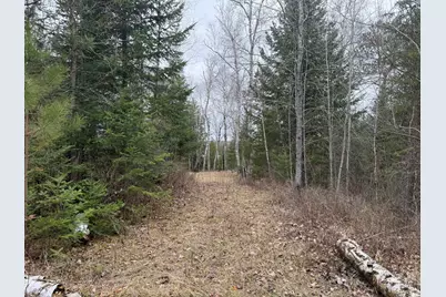 31938 E Gunn Lake Trail, Marcell, MN 56657 - Photo 5