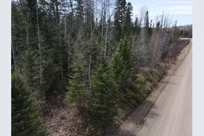 Tbd Co Rd 40, Effie, MN 56639 - Photo 3