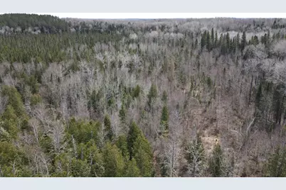 Tbd Co Rd 40, Effie, MN 56639 - Photo 25